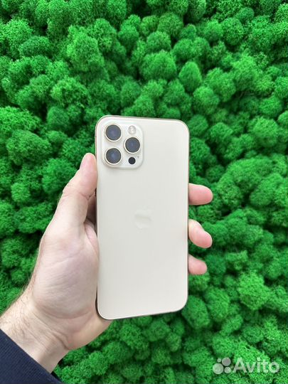 iPhone 12 Pro Max 512GB Gold Trade in Рассрочка