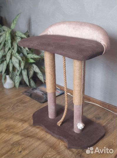 Когтеточка