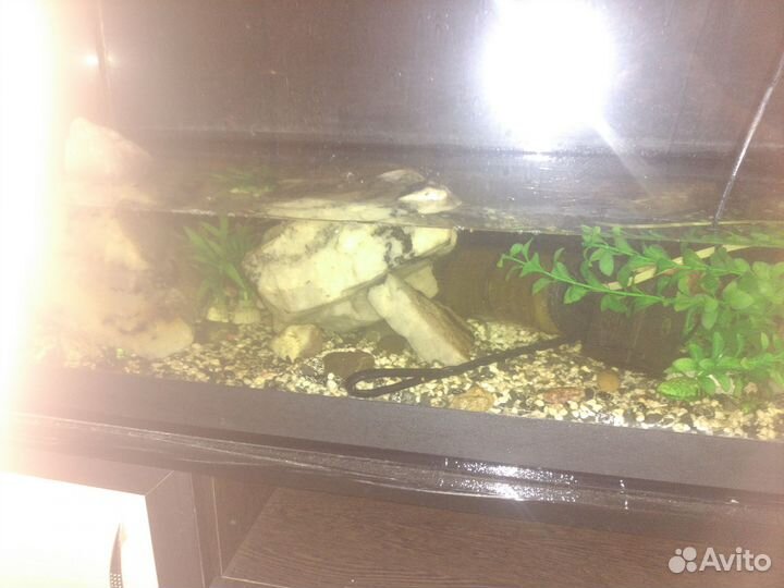 Аквариум 300 литров