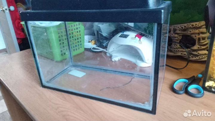 Продам морской аквариум