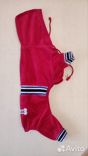 Весенний комбинезон для собаки