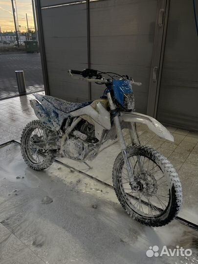Avantis fx 250 lux