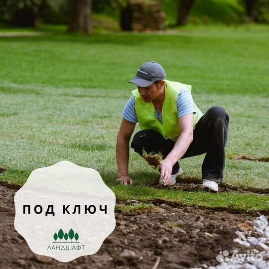 Лучший рулонный газон в Балашиху