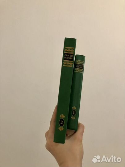 Сергей Есенин — сборник стихотворений в 2х томах