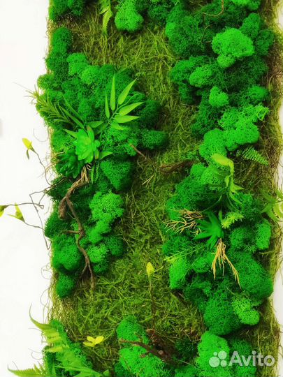Картины из мха