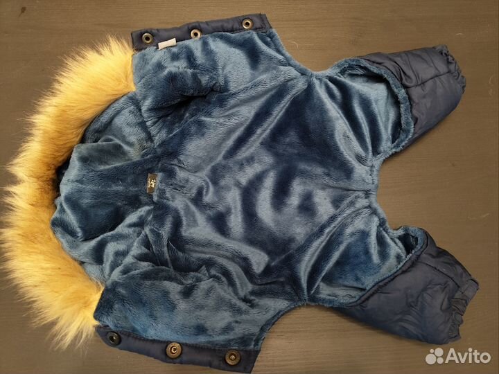 Одежда для средних собак