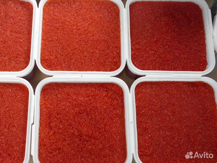 Красная икра