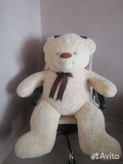 Большие плюшевые медведи