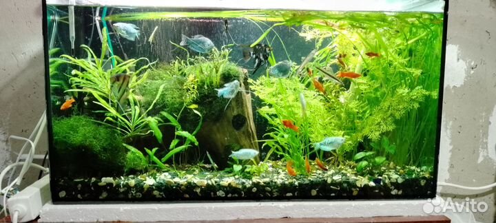 Аквариум 95л