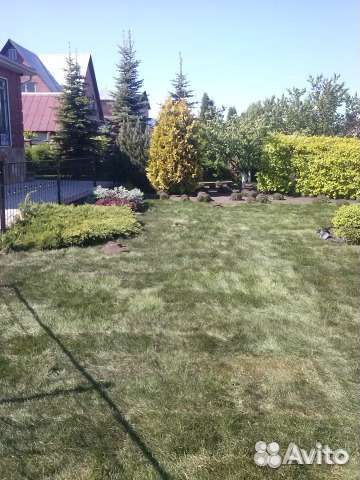 Обрезка.Спил.Посадка.Уборка.Газоны