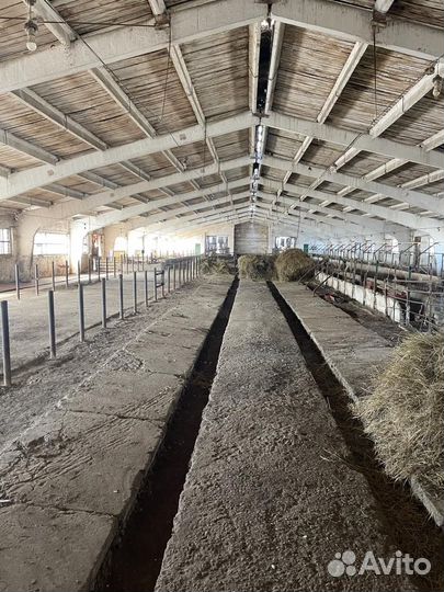 Животноводческая ферма продаю