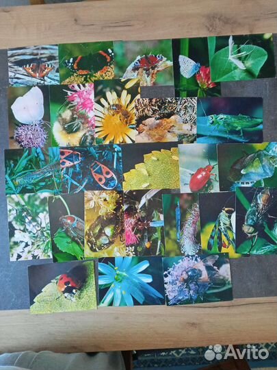 Открытки тематические СССР