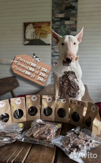 Лакомства для собак и кошек