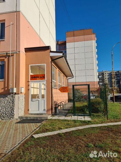 Полнорационный сухой корм для собак