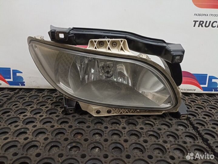 1835884 Комплект фар противотуманных Daf XF106