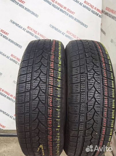Tigar Winter 1 195/65 R15 95T
