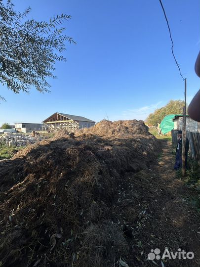 Навоз даром