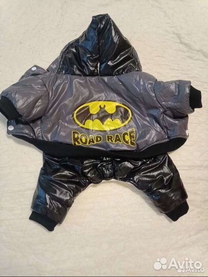 Одежда для собак мелких пород