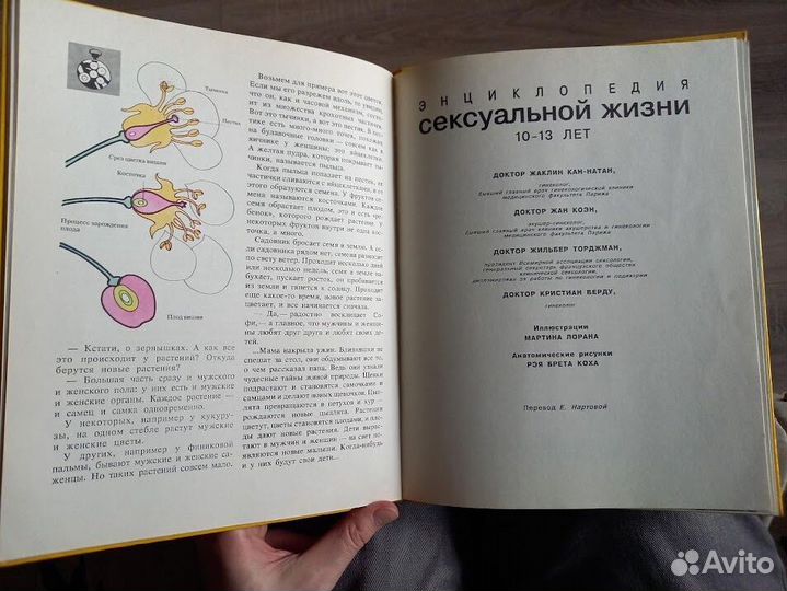 Энциклопедия сексуальной жизни для детей