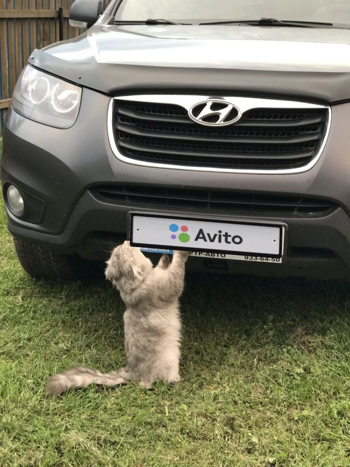 Hyundai Santa Fe: фото владельца