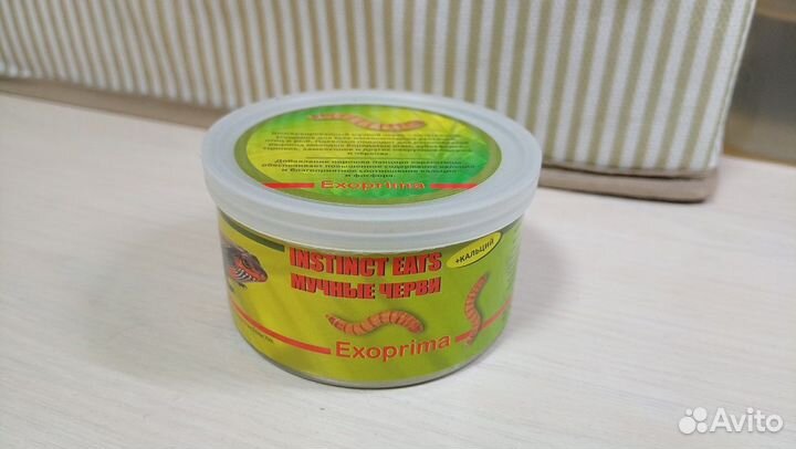 Мучные черви и Зофобас сушёный