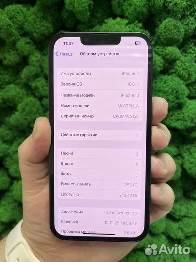 iPhone 13, 256 ГБ
