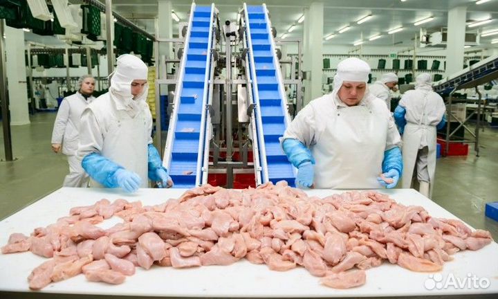 Фасовщик еженедельные выплаты