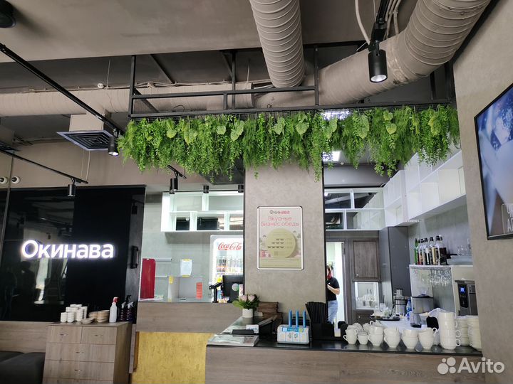 Искусственные растения искусственная зелень