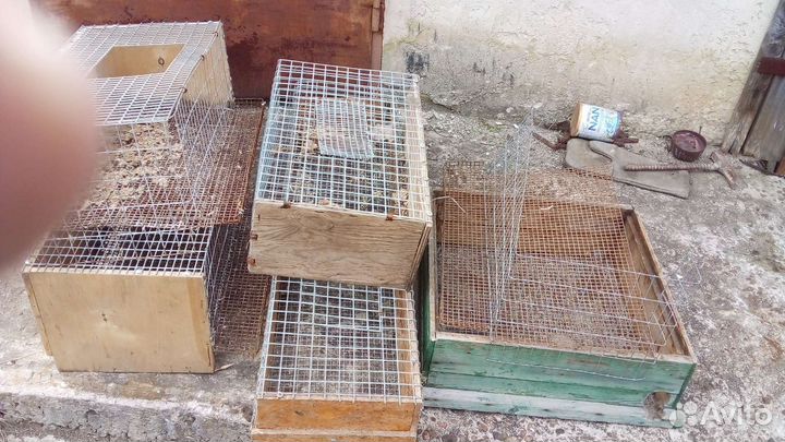 Инкубатор + свет + клетки для перепелов