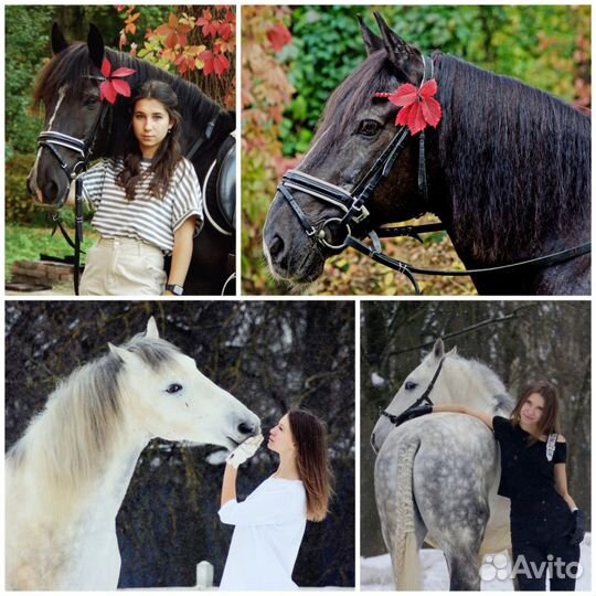 Фотограф, фотосессии с лошадьми, фотопрогулки