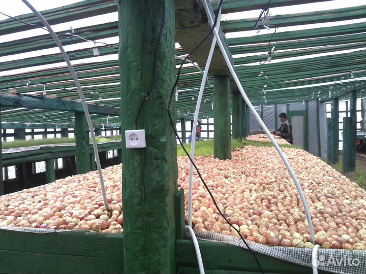 Инвестор или Компаньон