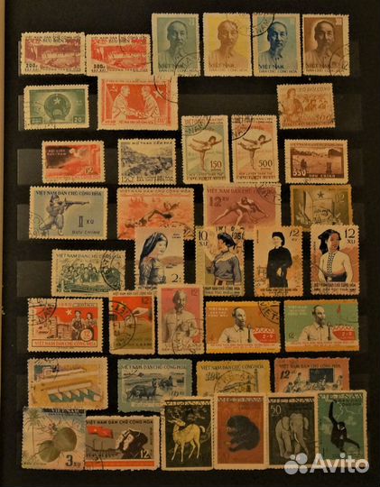 Вьетконг, Северный и Южный Вьетнам