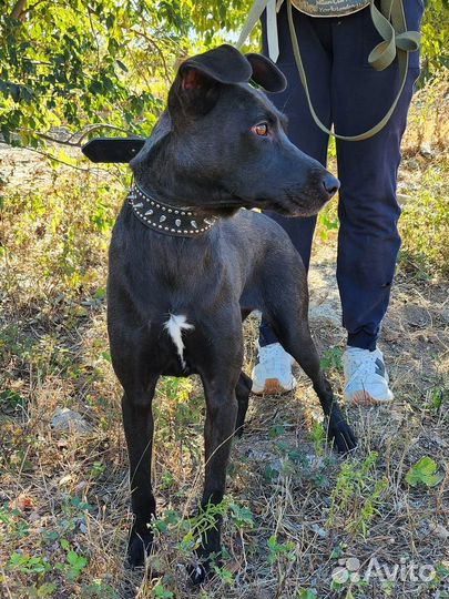 Фортуна ждет вас