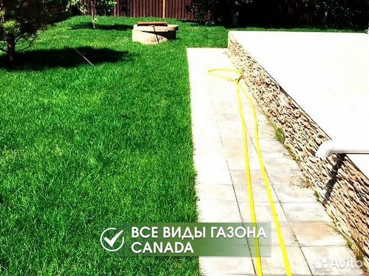 Рулонный газон под ключ