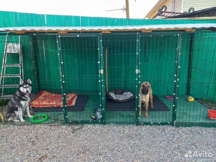 Мини гостиница для собак