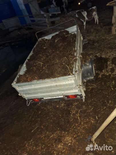 Конский навоз