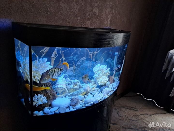 Аквариум с тумбой бу