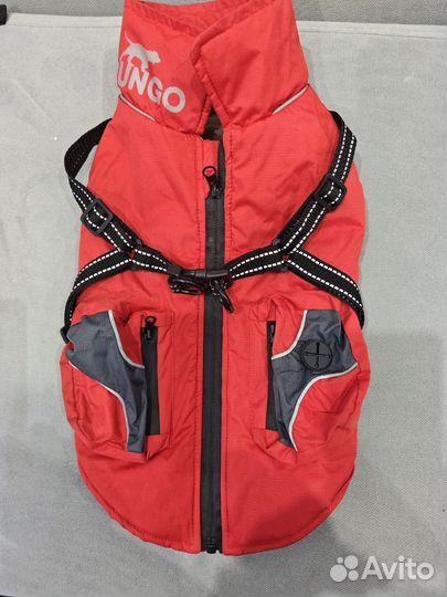 Жилетка для собак