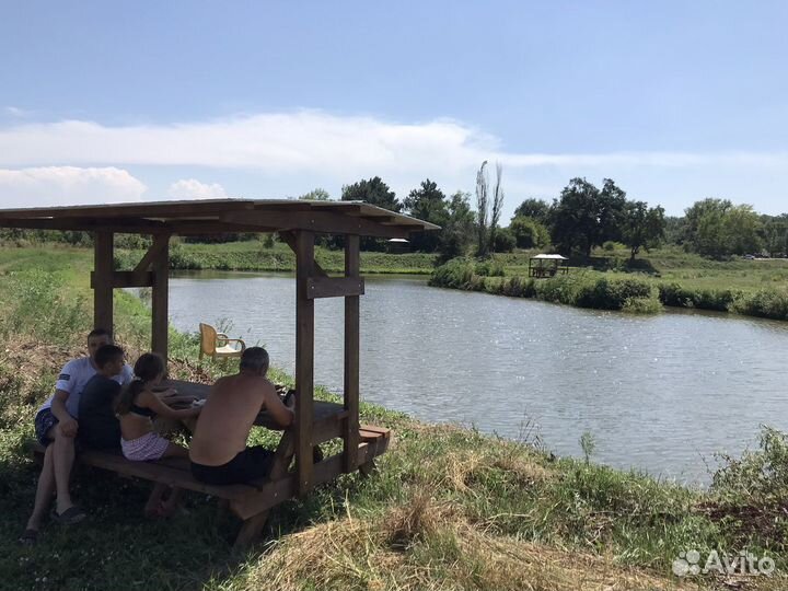 Платная рыбалка