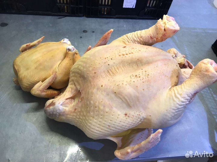 Мясо курица, индейка опт и мелкий опт