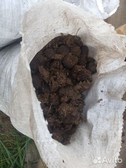 Навоз конский в мешках