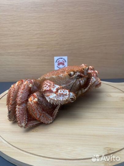 Краб волосатик ресторанный