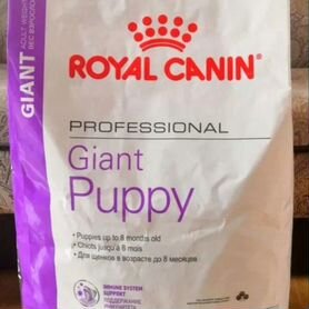 Корм royal canin