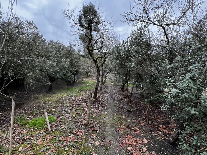 Участок 4,2 сот. (ИЖС)