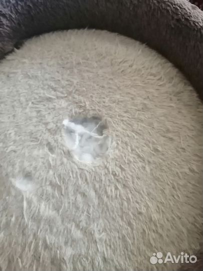 Домик для кошки