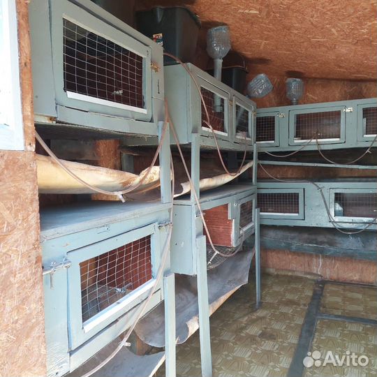 Клетка для кроликов