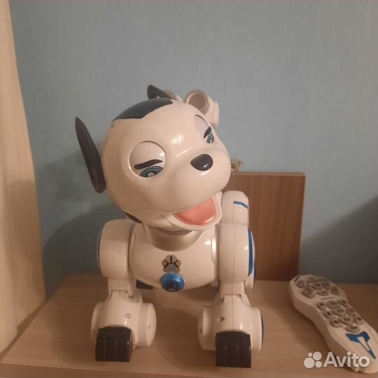 Робот собака на управлении