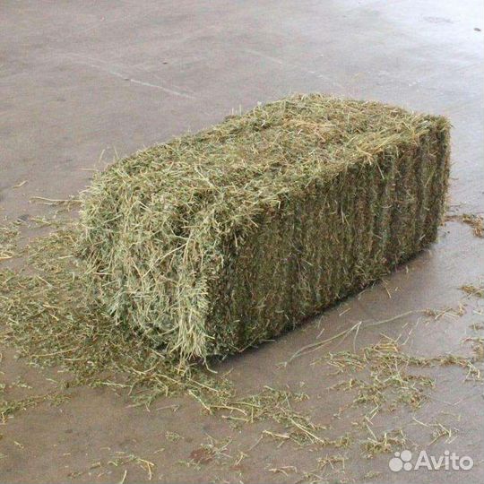 Сено в тюках