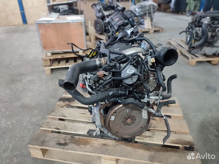Двигатель Renault Koleos 2.0 л 150 лс dCi M9RD833