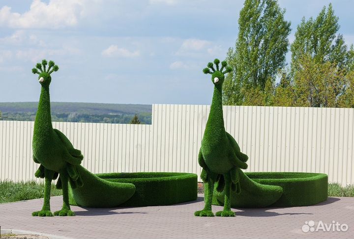 Топиарии для оживления ландшафта